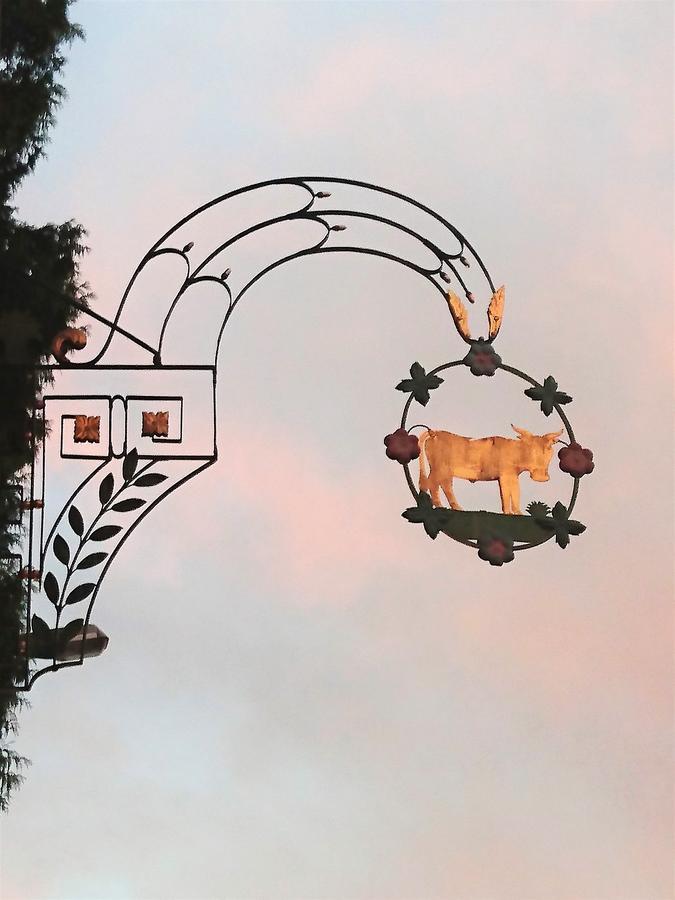 Gasthaus Zum Ochsen Neuhaus Exteriér fotografie